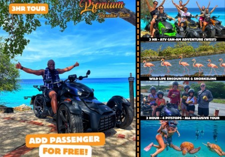 Premium Paradise Tours